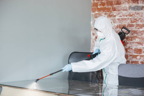 Why You Should Choose Our Mold Remediation Services in Shelton, WA